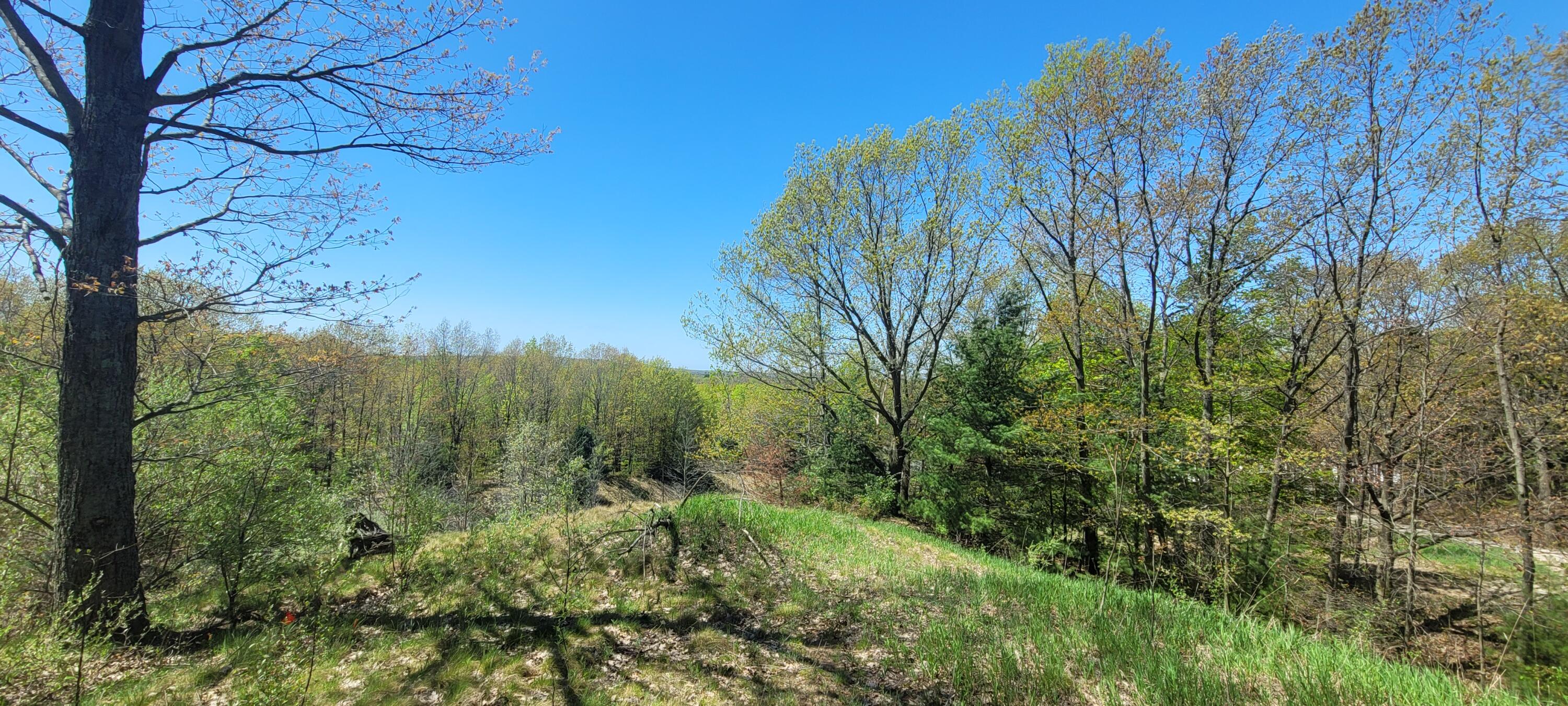 7190 West Fox Road Mears, MI 49436 - Photo 2 of 89 20240506_124116