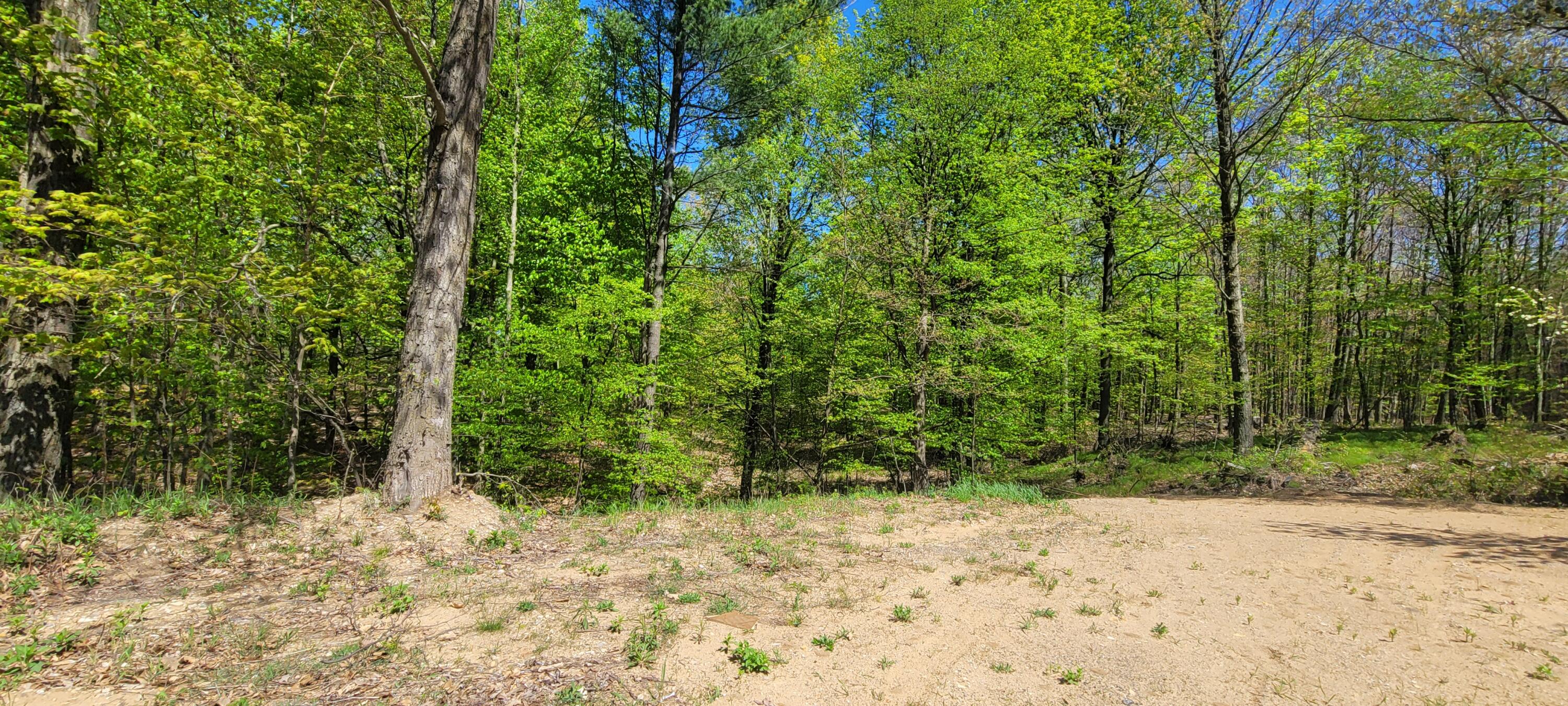 7190 West Fox Road Mears, MI 49436 - Photo 7 of 89 20240506_121246