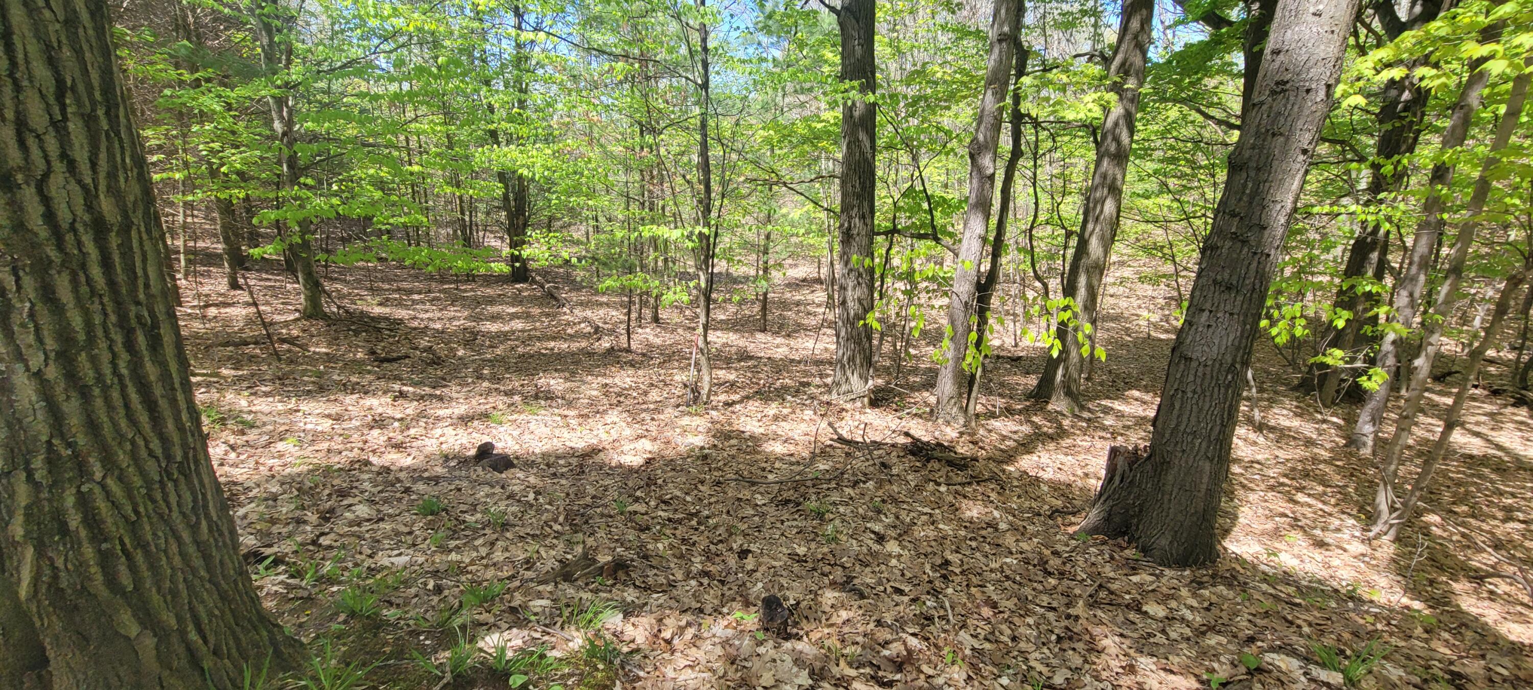 7190 West Fox Road Mears, MI 49436 - Photo 78 of 89 20240506_131546