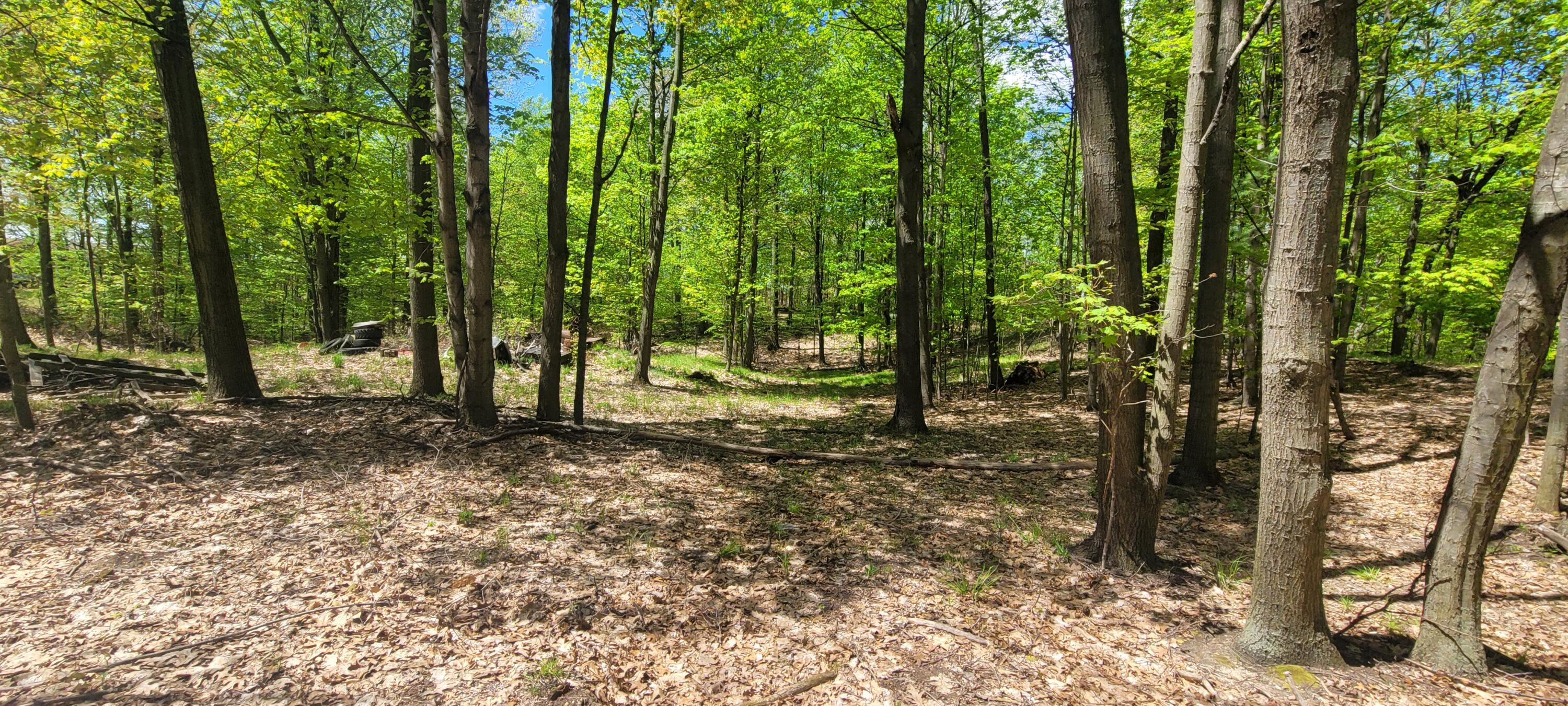 7190 West Fox Road Mears, MI 49436 - Photo 85 of 89 20240506_130523