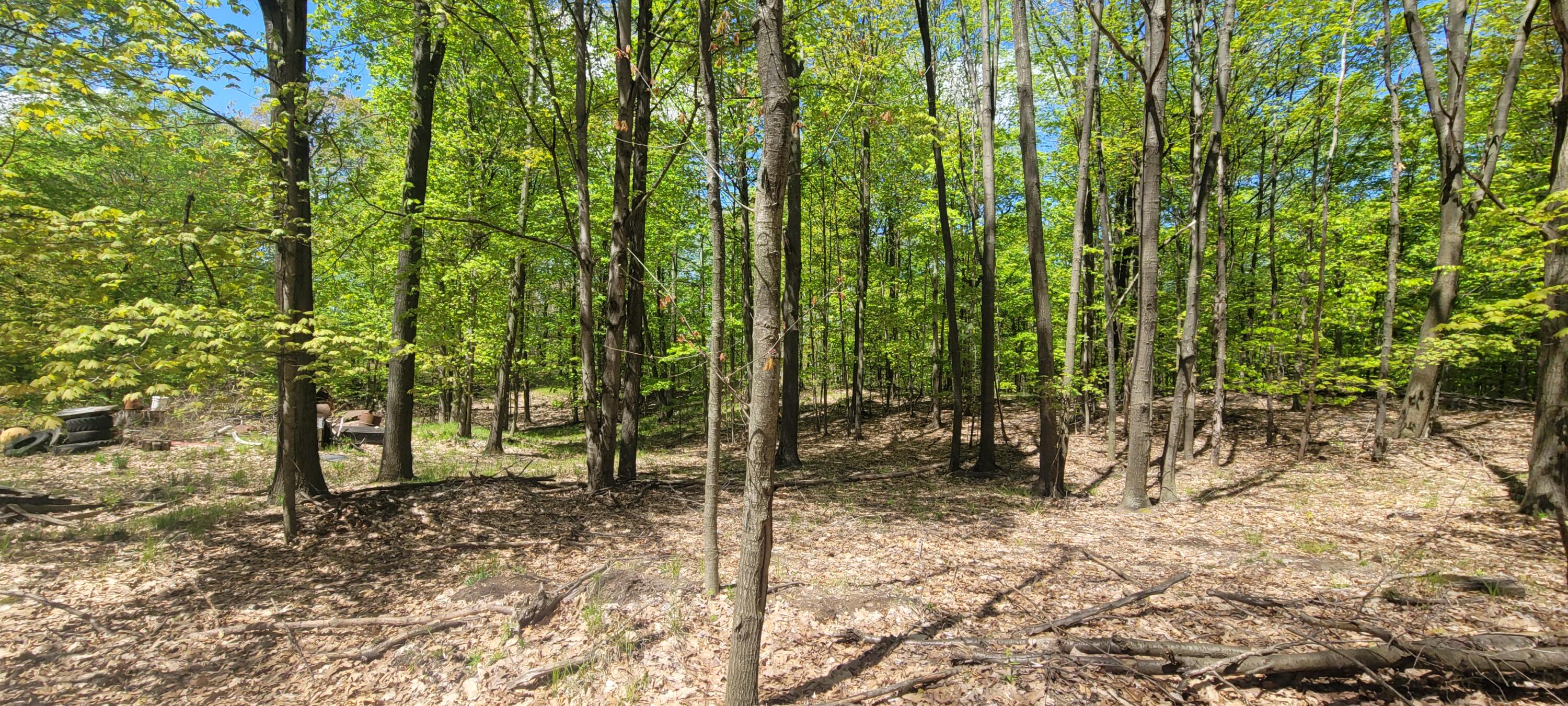 7190 West Fox Road Mears, MI 49436 - Photo 86 of 89 20240506_130505