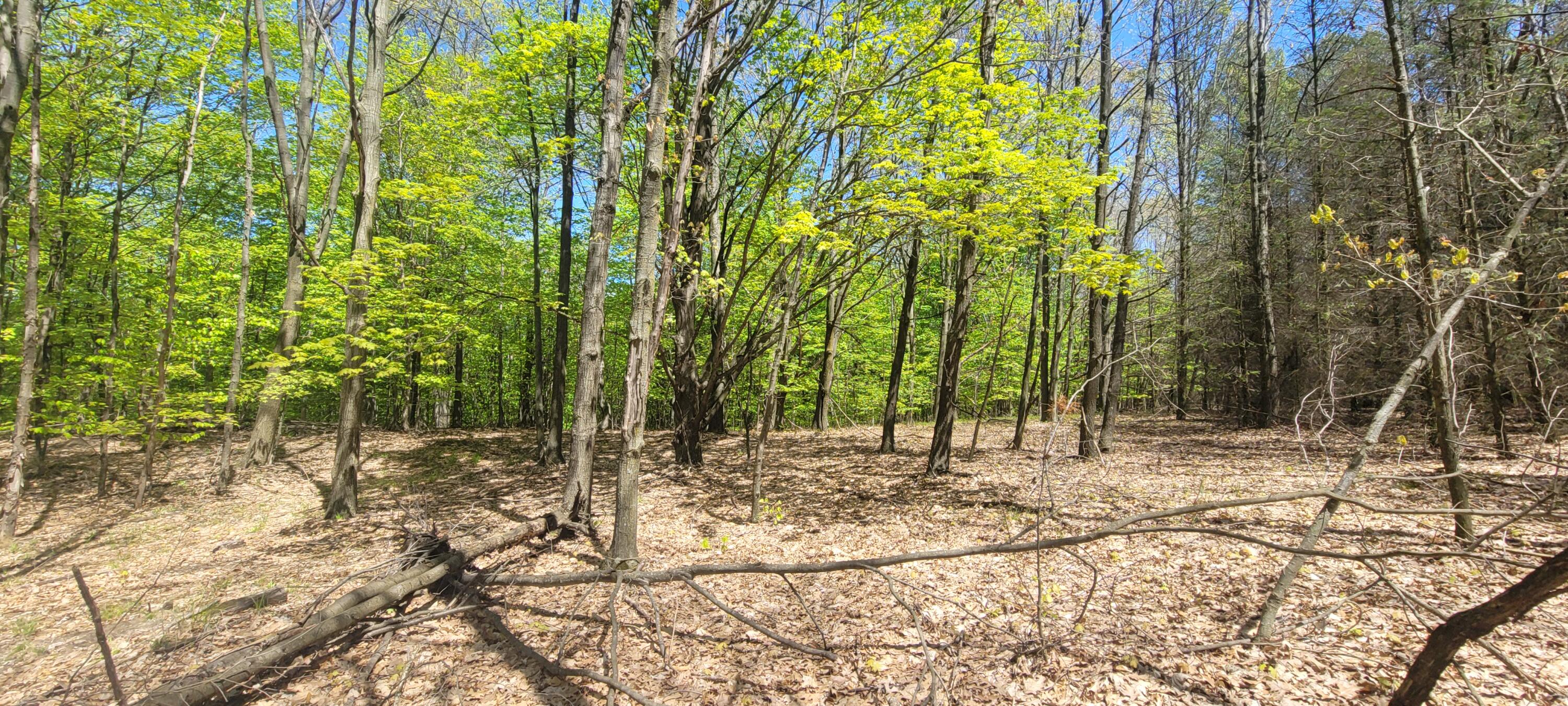 7190 West Fox Road Mears, MI 49436 - Photo 87 of 89 20240506_130502