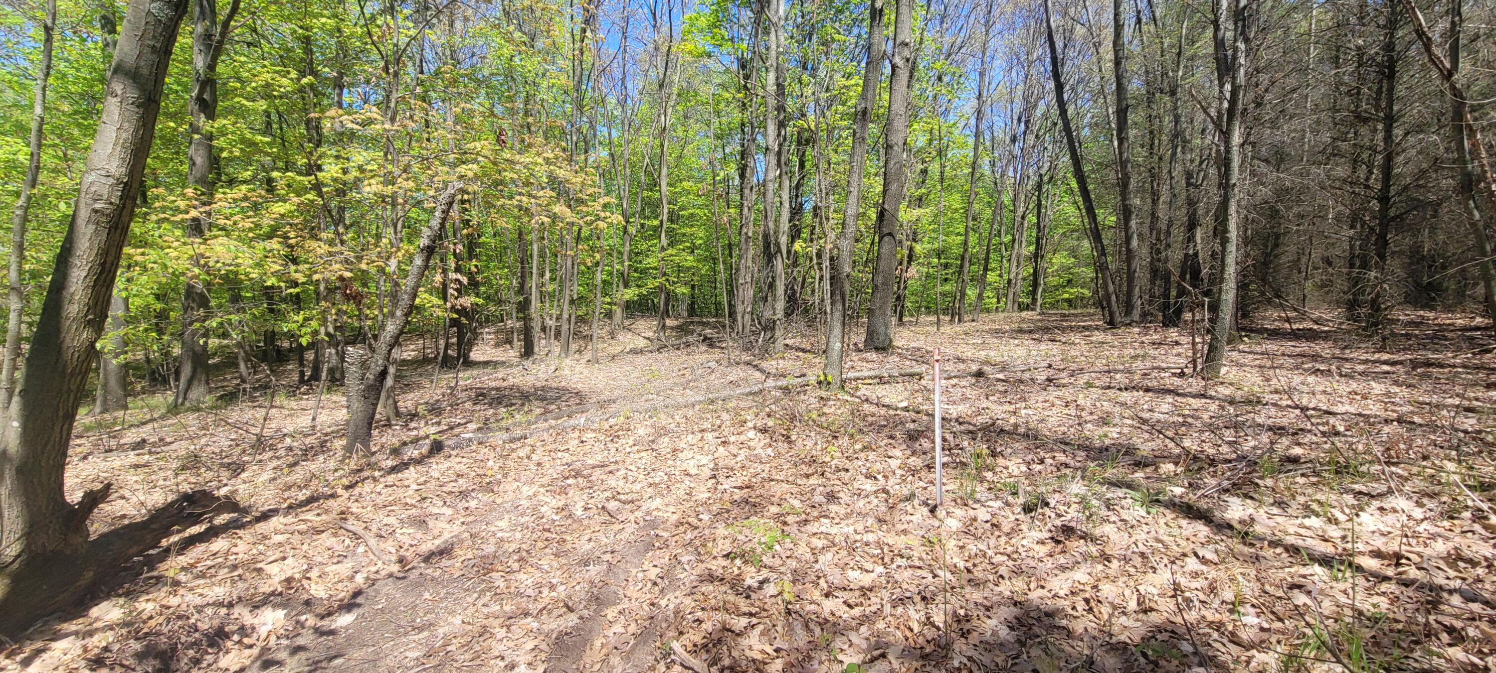 7190 West Fox Road Mears, MI 49436 - Photo 88 of 89 20240506_130434