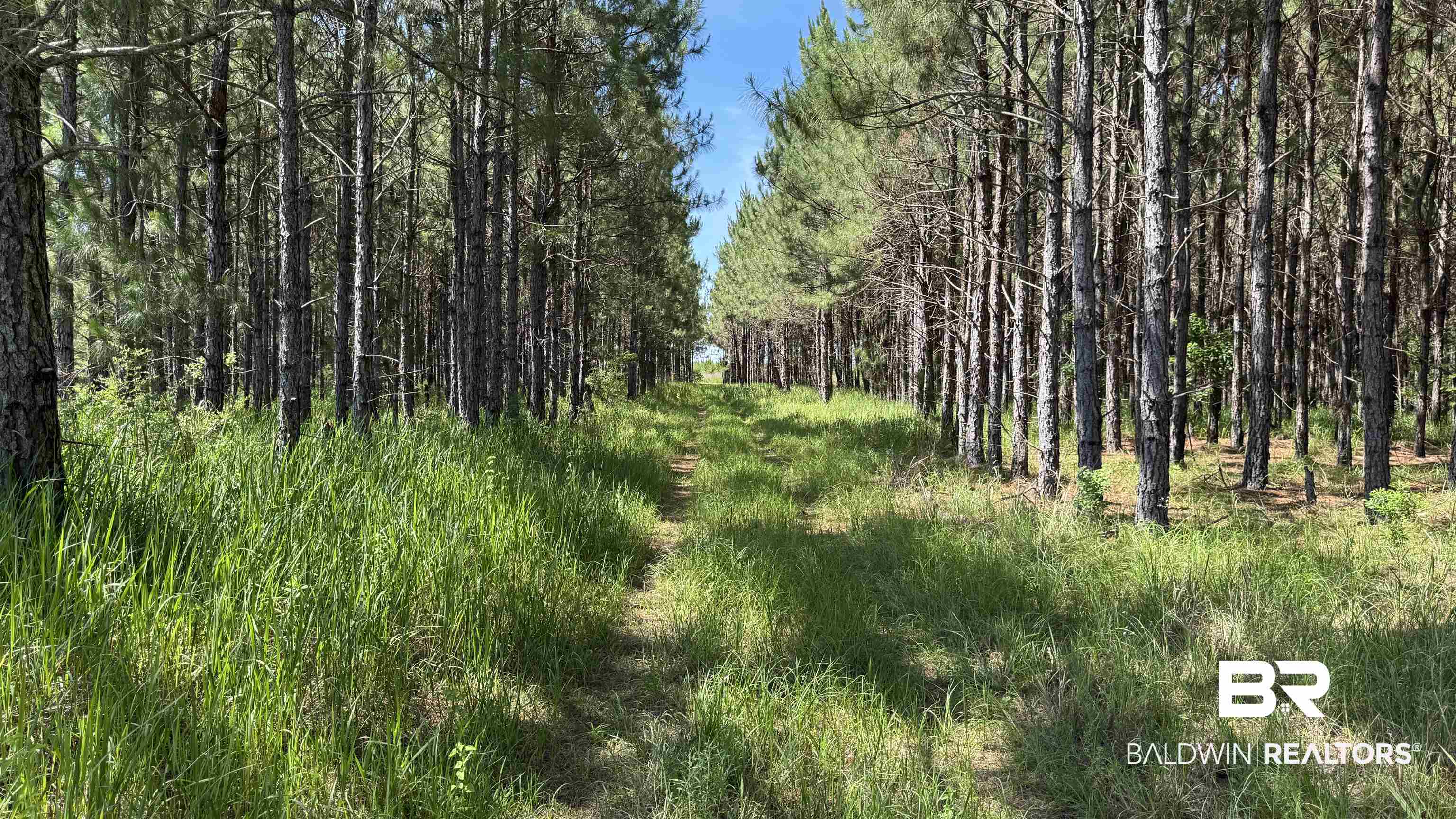 0 County Road 87 Elberta, AL 36530 - Photo 33 of 46