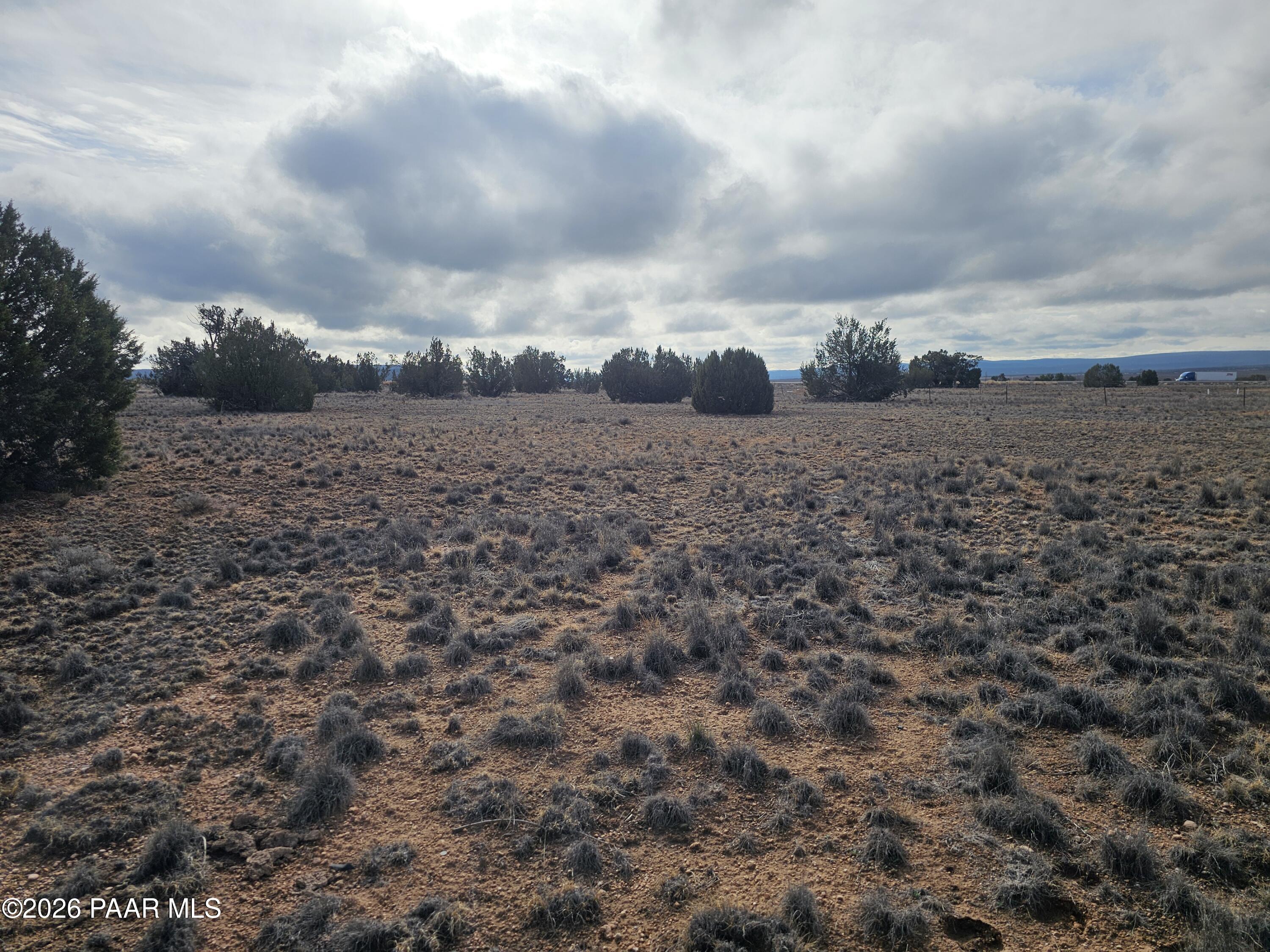 27555 Fort Rock Road Seligman, AZ 86337 - Photo 2 of 14 a view of a field with trees in back