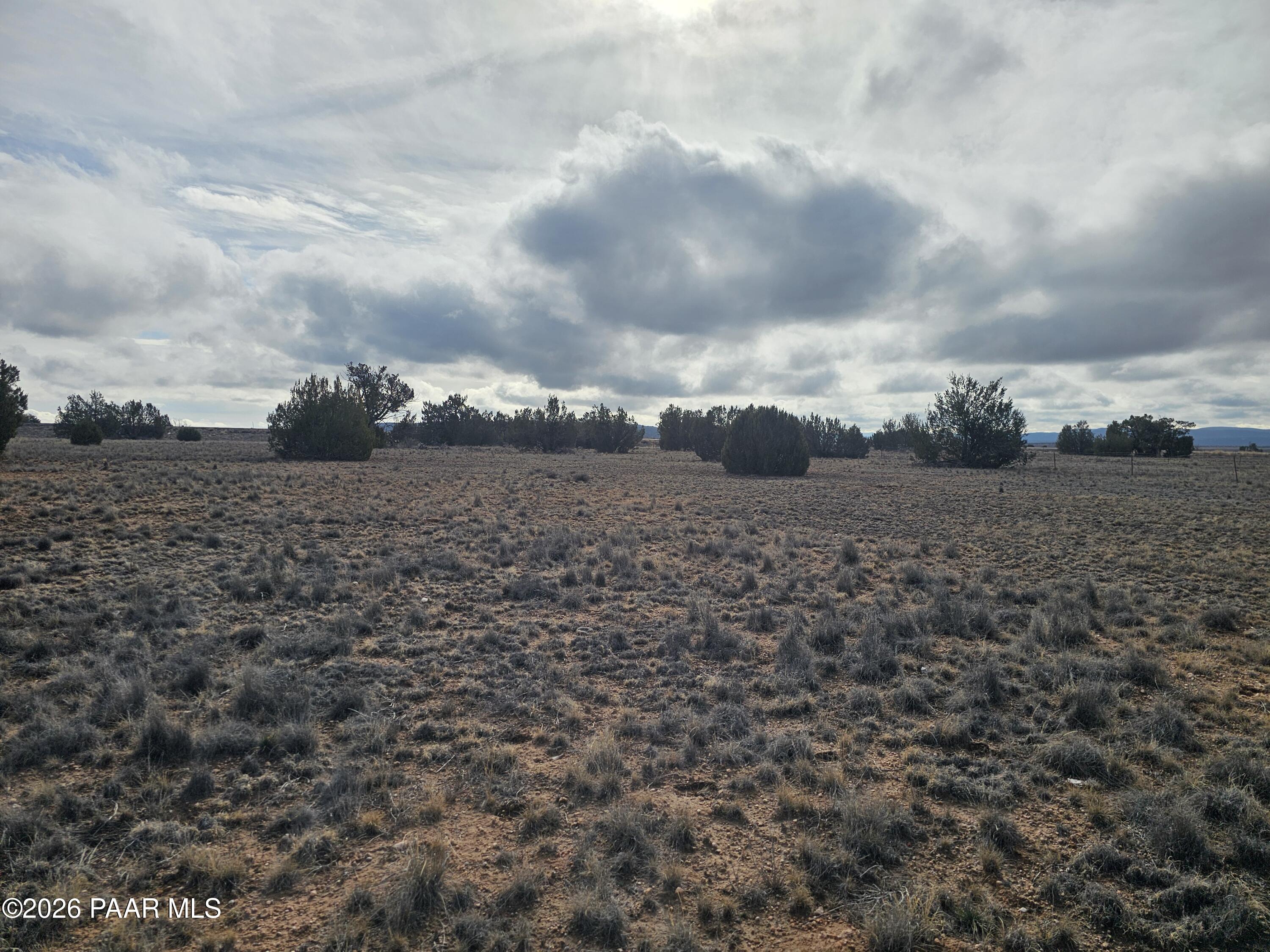 27555 Fort Rock Road Seligman, AZ 86337 - Photo 3 of 14 a view of a field with trees in back