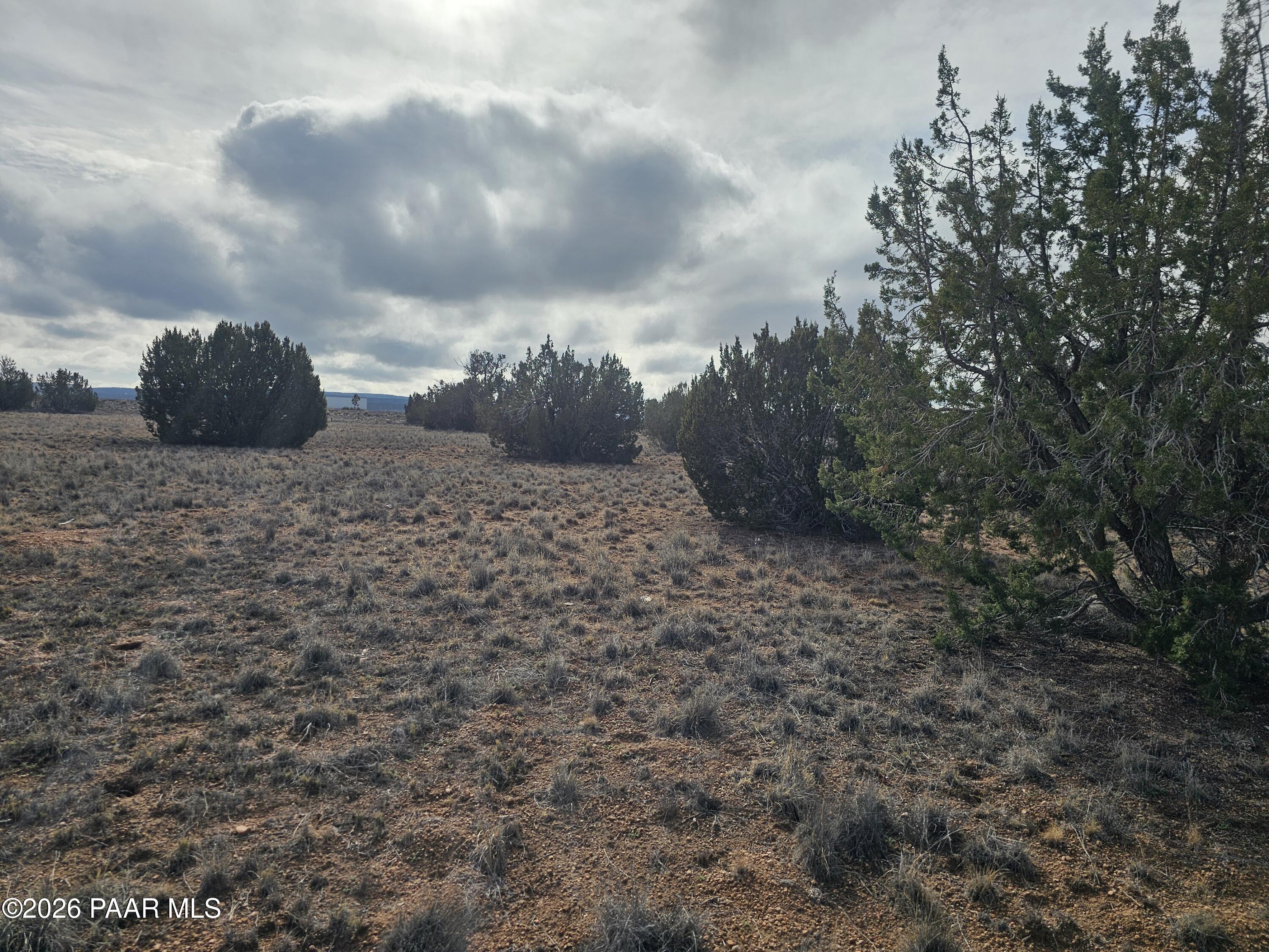 27555 Fort Rock Road Seligman, AZ 86337 - Photo 5 of 14 a view of a dry yard with trees