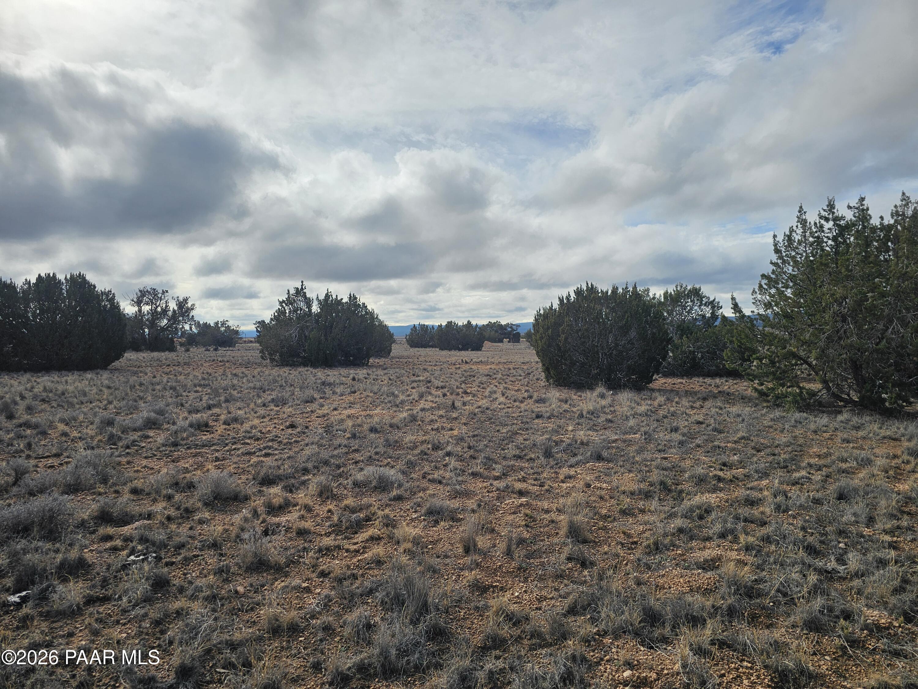 27555 Fort Rock Road Seligman, AZ 86337 - Photo 7 of 14 a view of a dry yard with wooden fence
