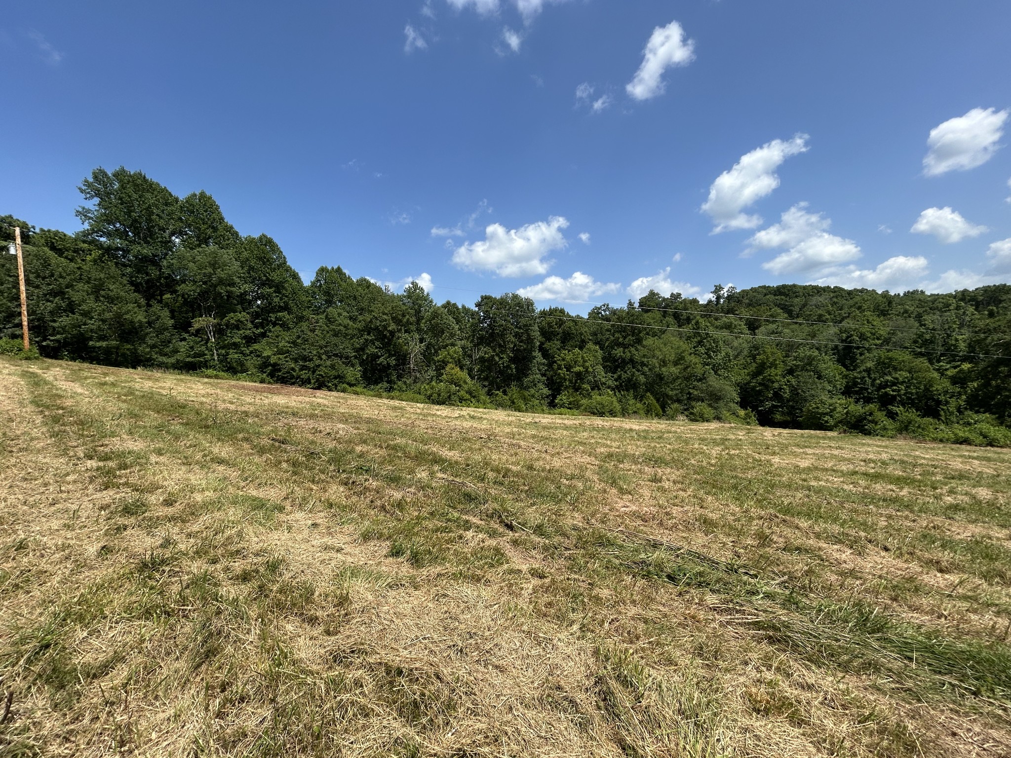 1 New Hope Cemetery Road Pulaski, TN 38478 - Photo 14 of 21