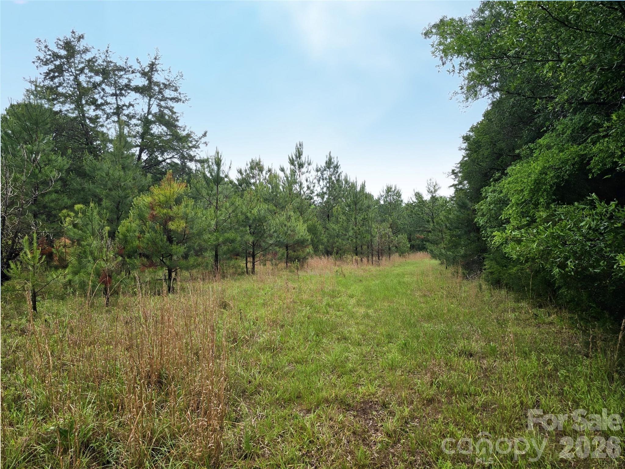 0 Shirley Road Fort Lawn, SC 29714 - Photo 1 of 6