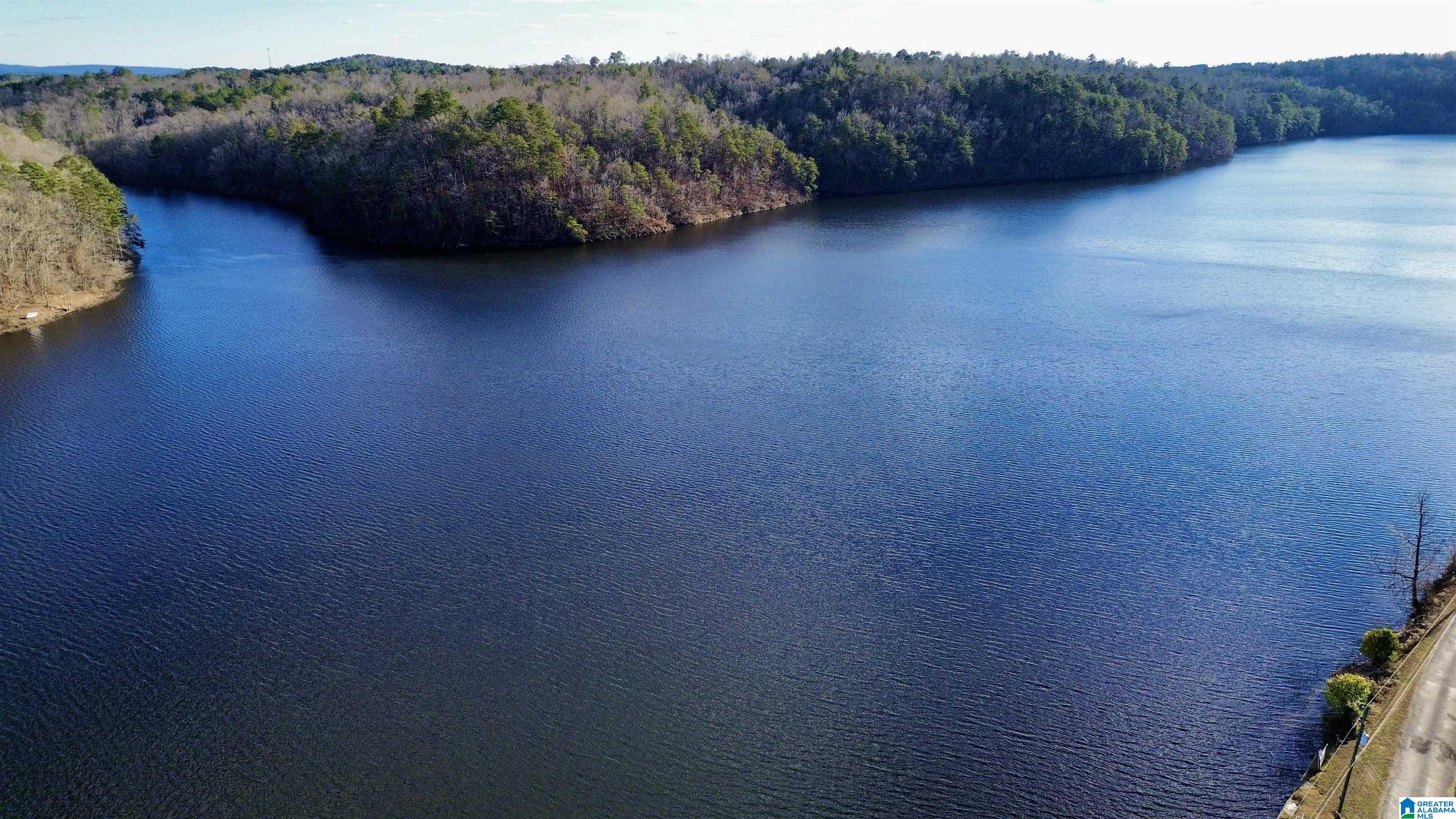 0 Piney Top Road, Unit LOT 27 Warrior, AL 35180 - Photo 4 of 6