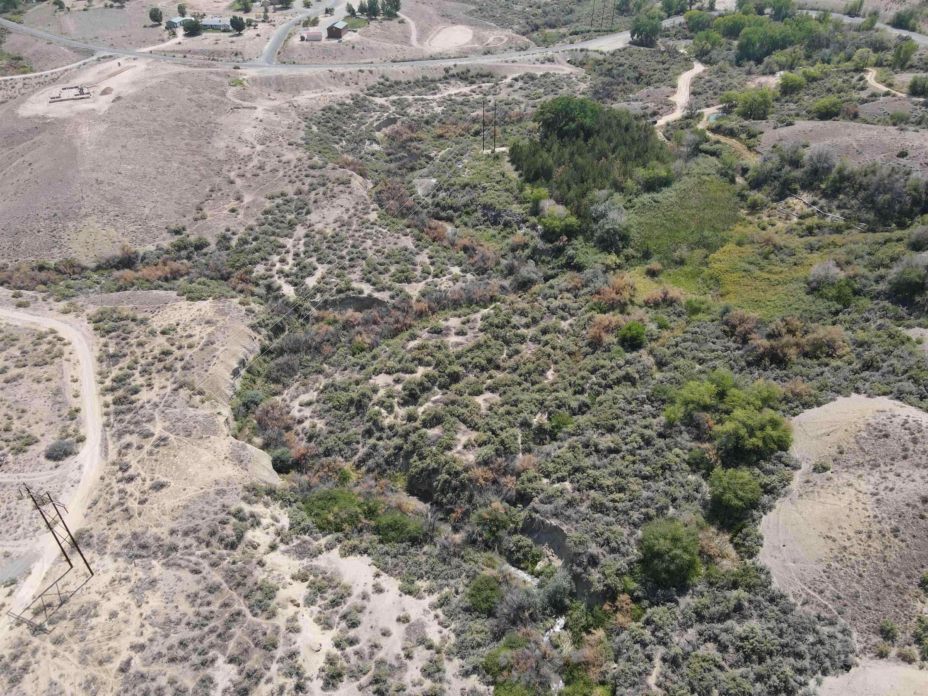 Tbd D Road Palisade, CO 81526 - Photo 5 of 11 a view of a dry yard with lots of bushes
