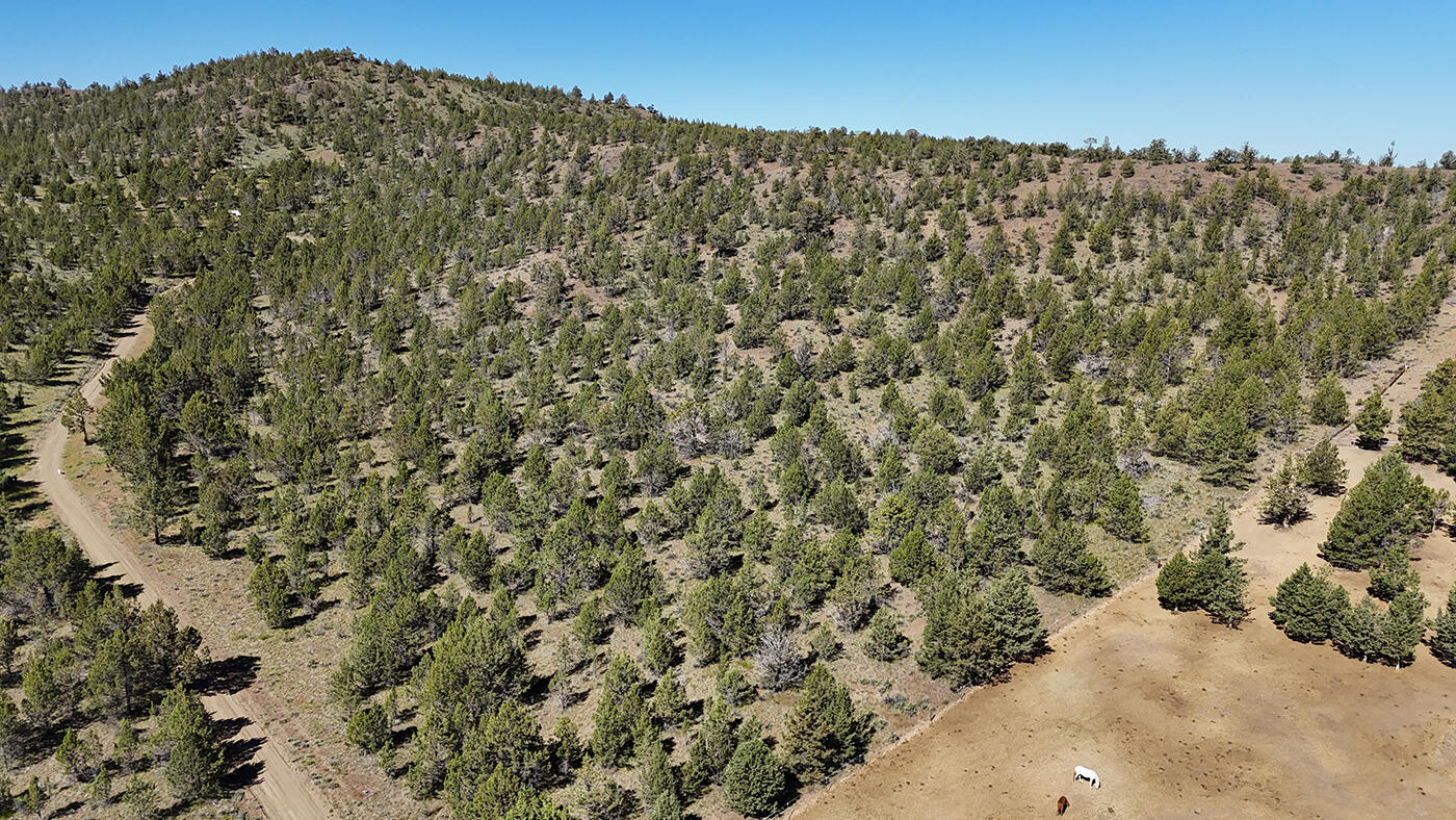 Southeast Osprey Road Prineville, OR 97754 - Photo 5 of 30 Dans Riverside Ranch Property 03