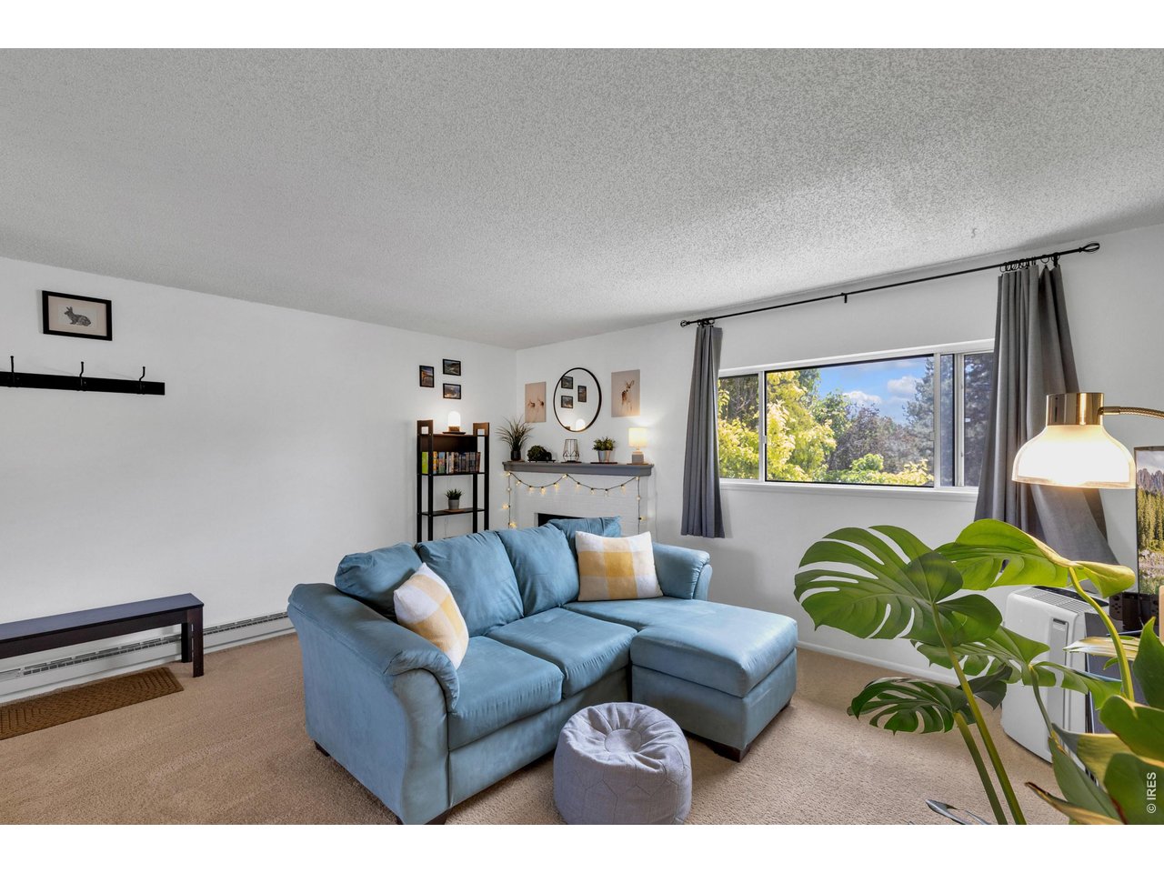 1024 East Swallow Road, Unit 234 Fort Collins, CO 80525 - Photo 3 of 25