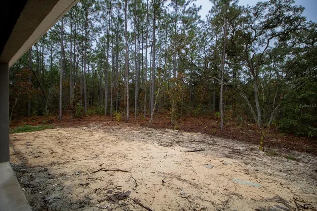 a backyard of a house with lots of green space