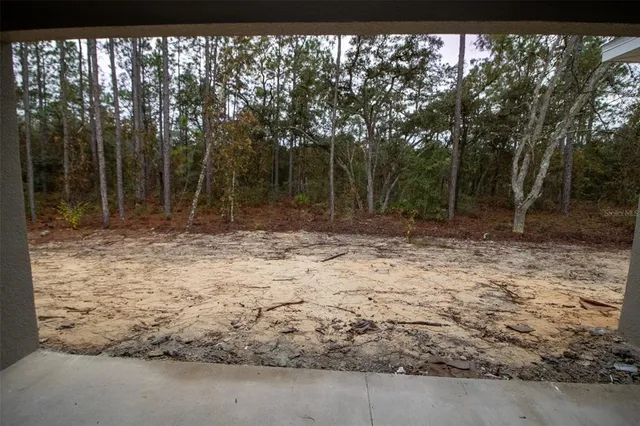 a view of a yard with trees