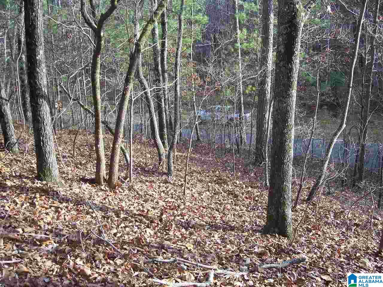 4 Dripping Rock Road, Unit 4 Piedmont, AL 36272 - Photo 9 of 12