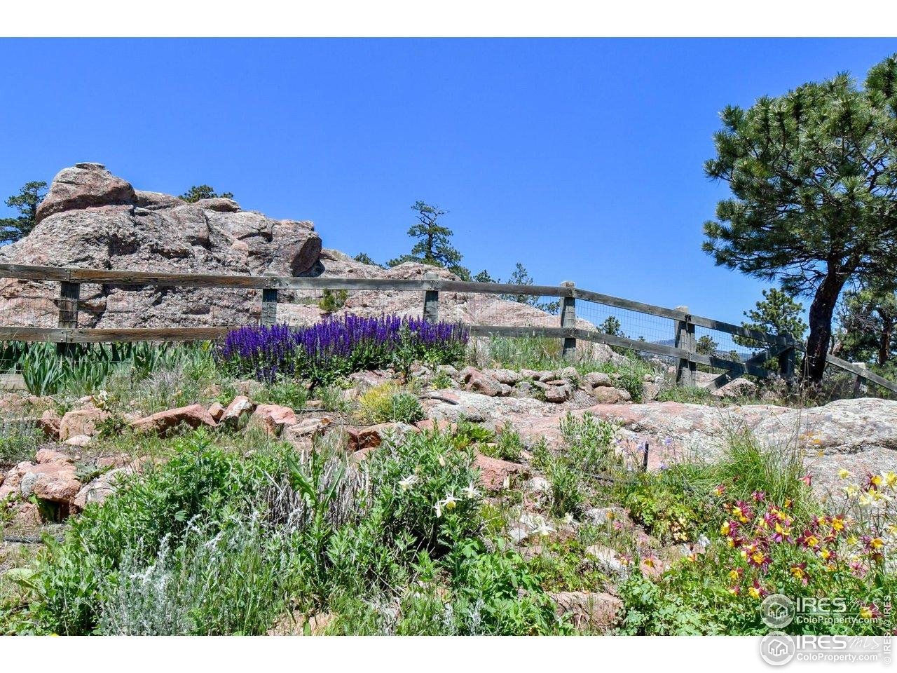 1960 Colard Lane Lyons, CO 80540 - Photo 22 of 40 Backyard