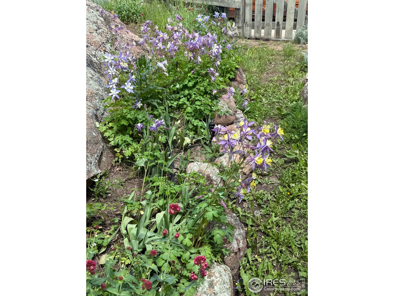 1960 Colard Lane Lyons, CO 80540 - Photo 23 of 40