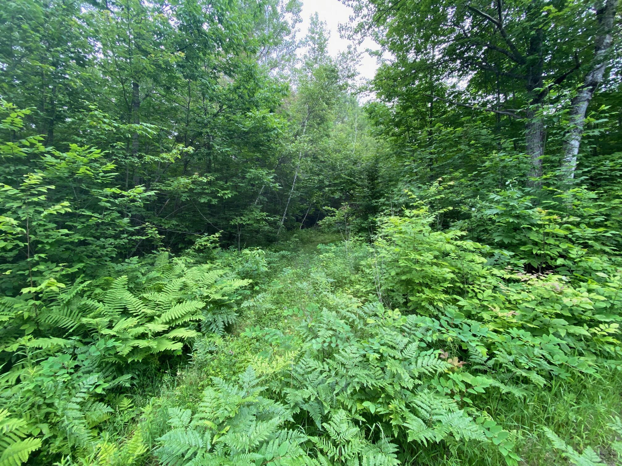 Lot#17 Guilford Center Road Guilford, ME 04443 - Photo 5 of 20