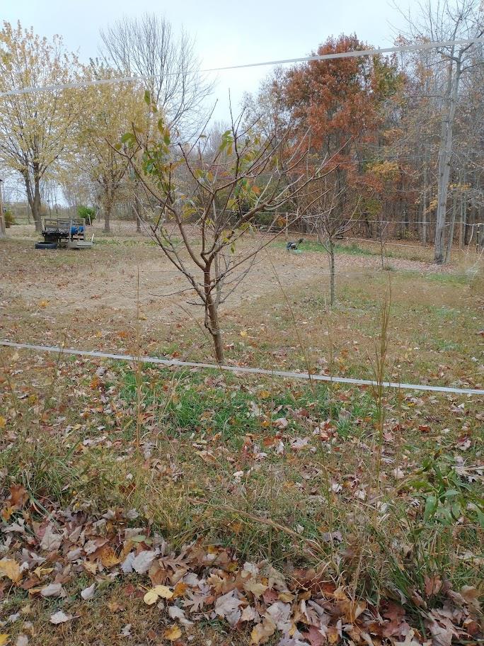 759 Dodds Road Otway, OH 45657 - Photo 25 of 41 Land