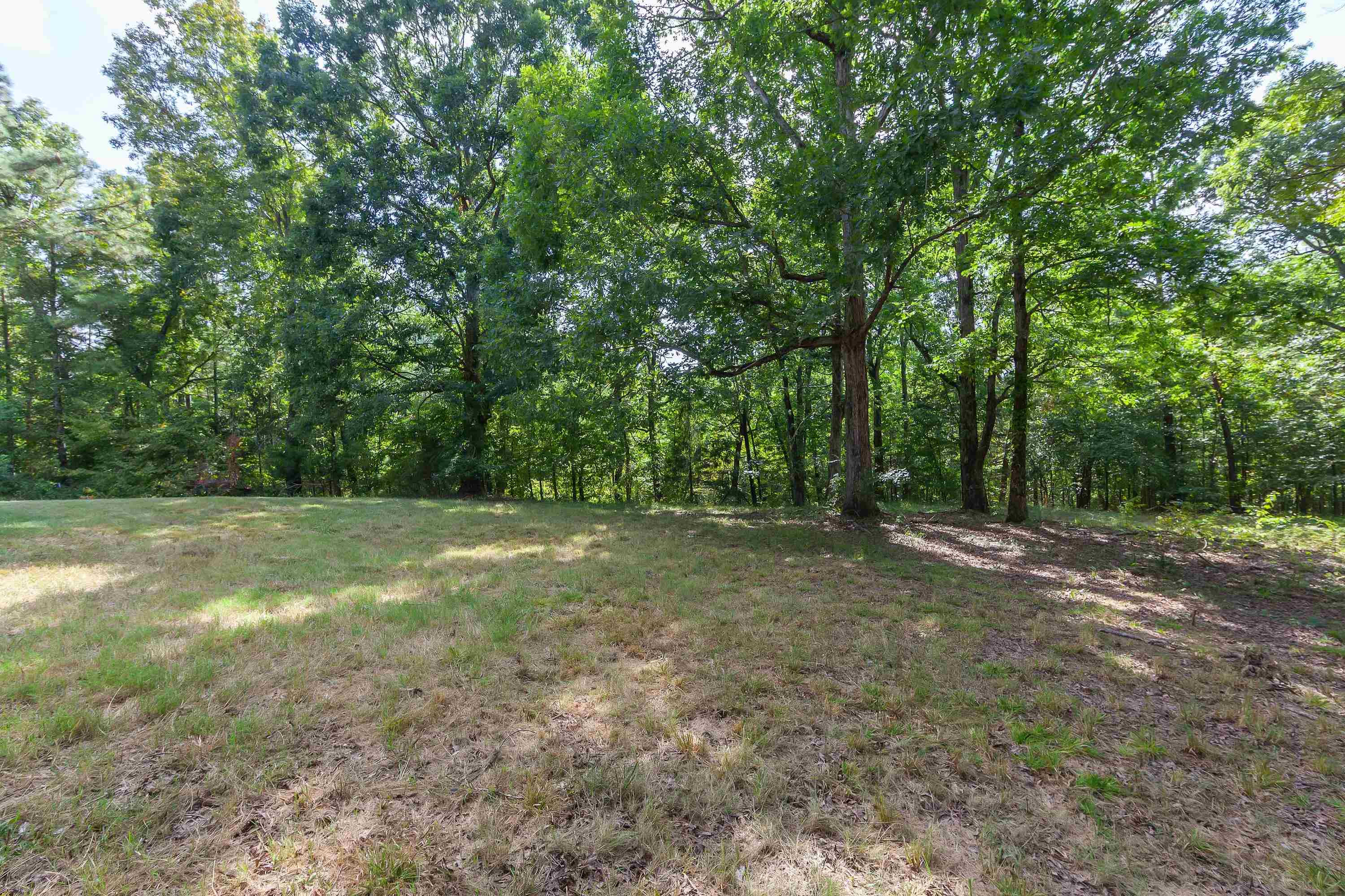 3690 Callahan Road Middleton, TN 38052 - Photo 25 of 26 Expansive grassy area with a forested backdrop featuring mature trees and established natural landscaping
