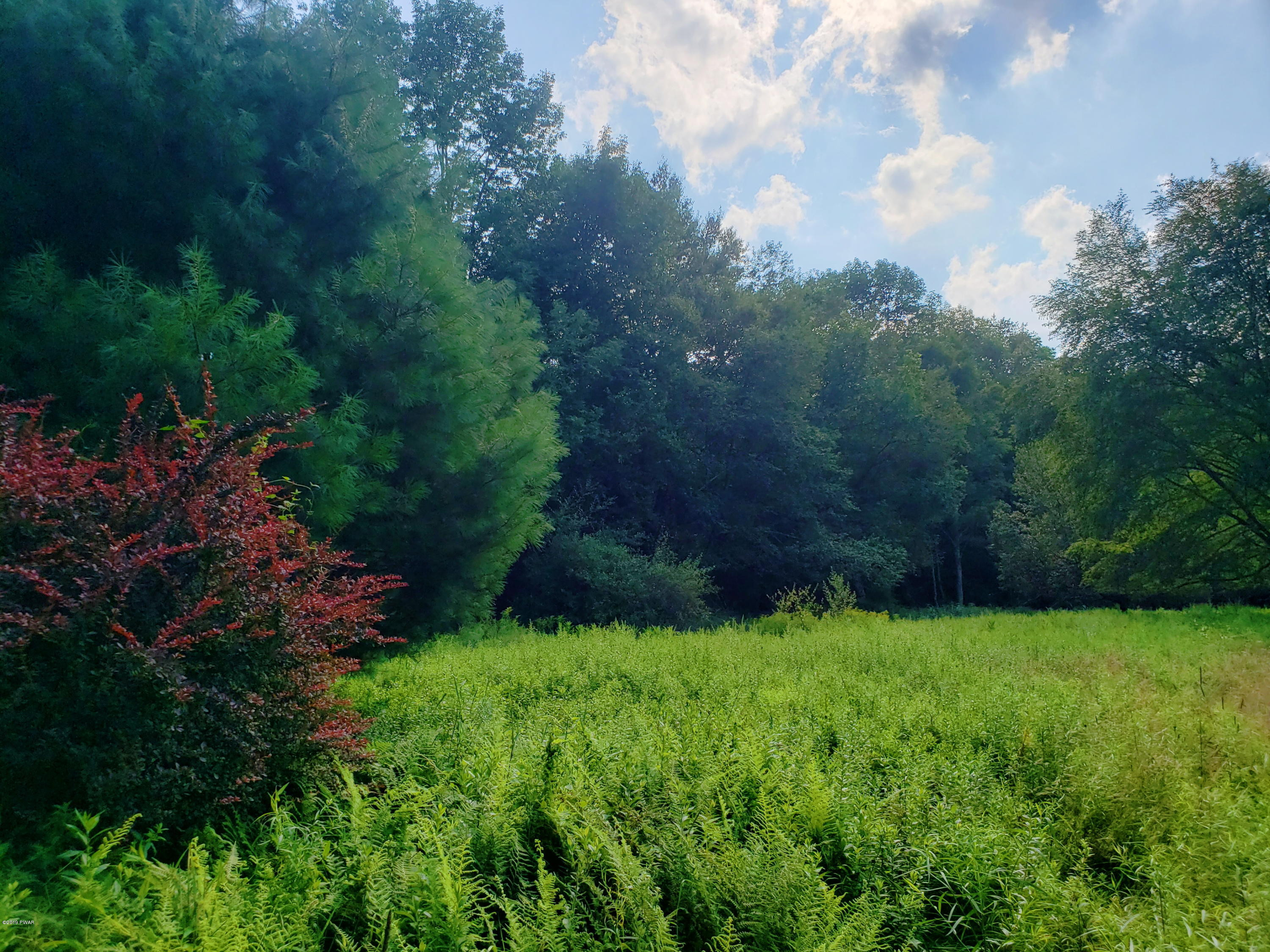 Burr Road Cochecton, NY 12726 - Photo 3 of 6