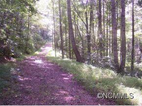 0 Cabin Ridge Cullowhee, NC 28723 - Photo 2 of 8