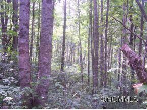 0 Cabin Ridge Cullowhee, NC 28723 - Photo 3 of 8