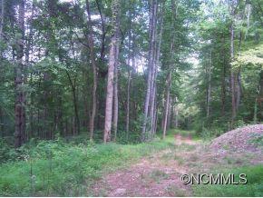 0 Cabin Ridge Cullowhee, NC 28723 - Photo 5 of 8