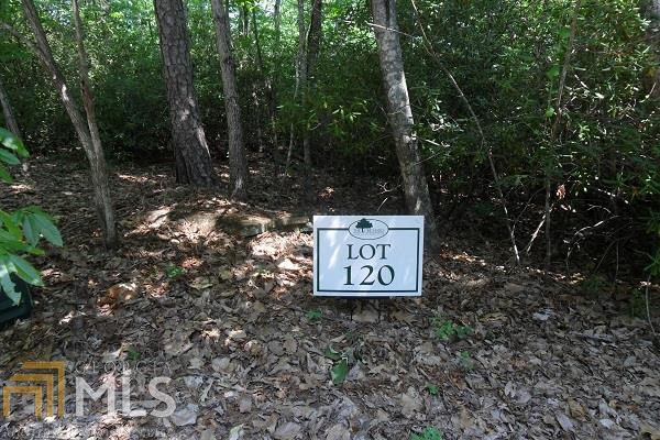 0 Summer Road, Unit 120 Clarkesville, GA 30523 - Photo 1 of 1 Gallery Image 1