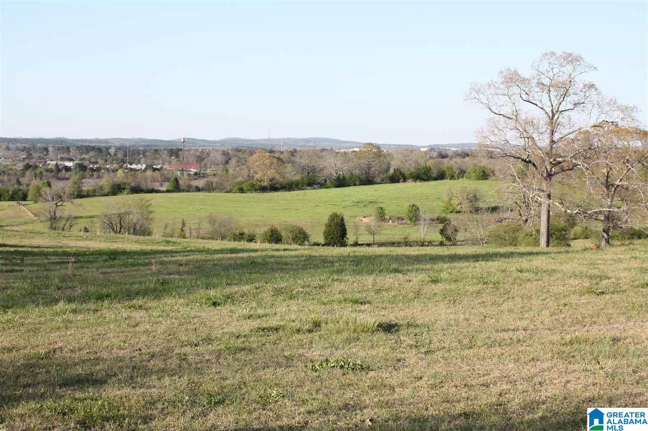 11506 Stemley Road Lincoln, AL 35096 - Photo 10 of 21