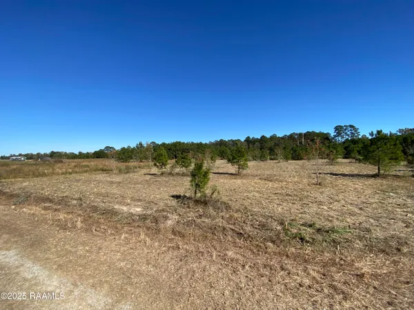 $44,000 | Tbd Wesdale Lane. Lane, Crowley, LA 70526
