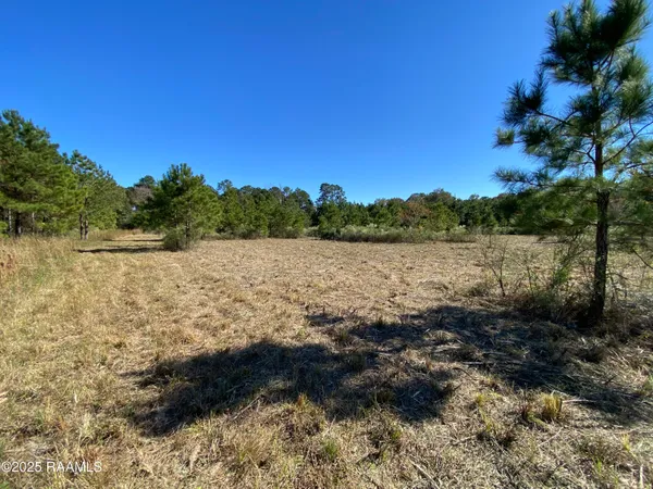 $44,000 | Tbd Wesdale Lane. Lane, Crowley, LA 70526
