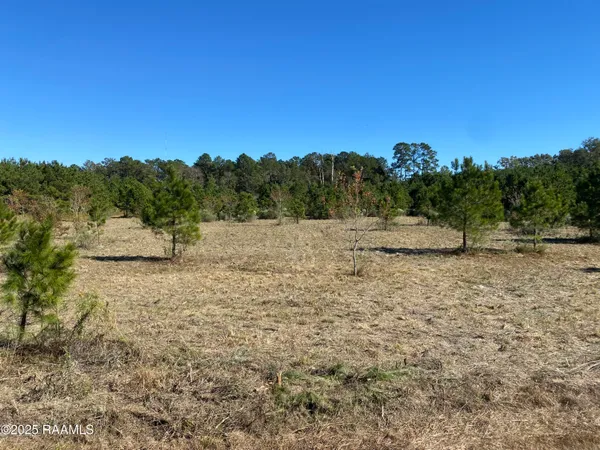 $44,000 | Tbd Wesdale Lane. Lane, Crowley, LA 70526