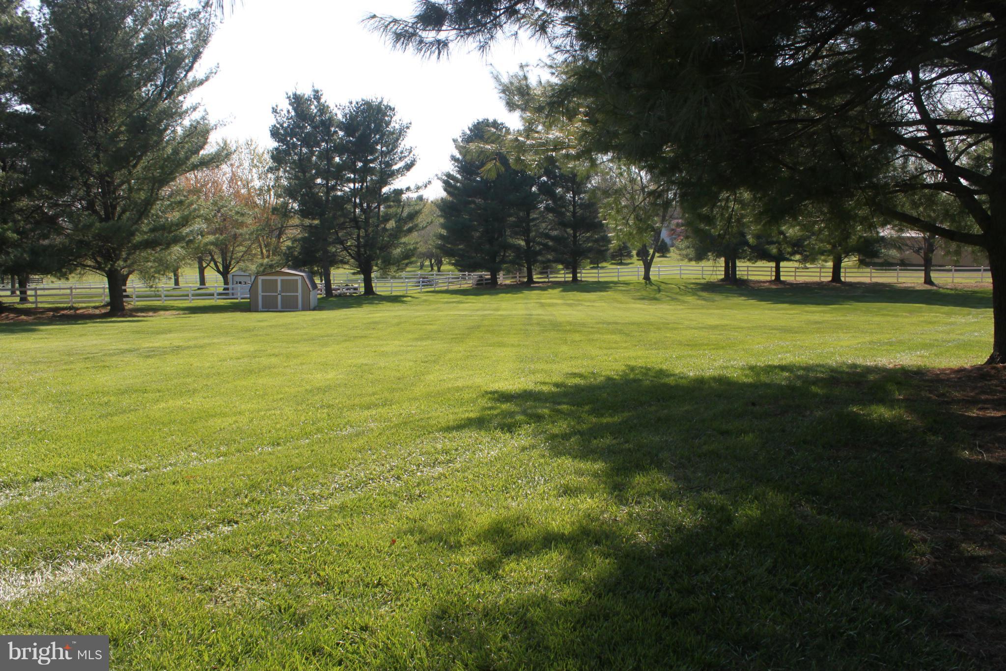 7226 Morgan Road Woodbine, MD 21797 - Photo 25 of 27 View of Yard