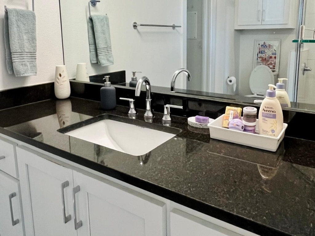 1145 Shady Lane, Unit 1A Austin, TX 78721 - Photo 7 of 25 Primary Bathroom – Modern and bright with granite counters, dual vanities, a walk-in glass shower, and ample storage—designed for both function and style.