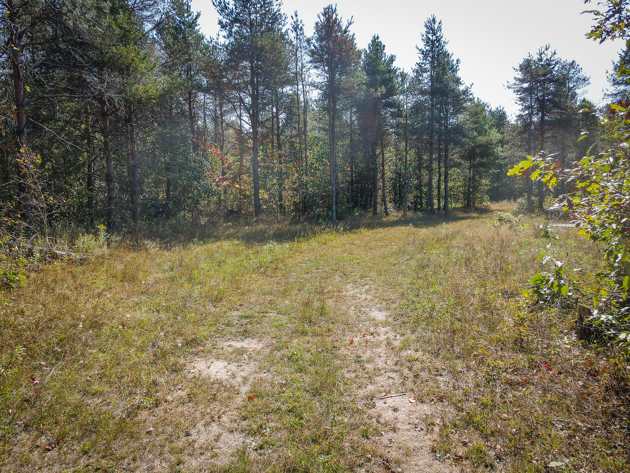 2969 East Loop Road Hesperia, MI 49421 - Photo 11 of 51 DJI_0625