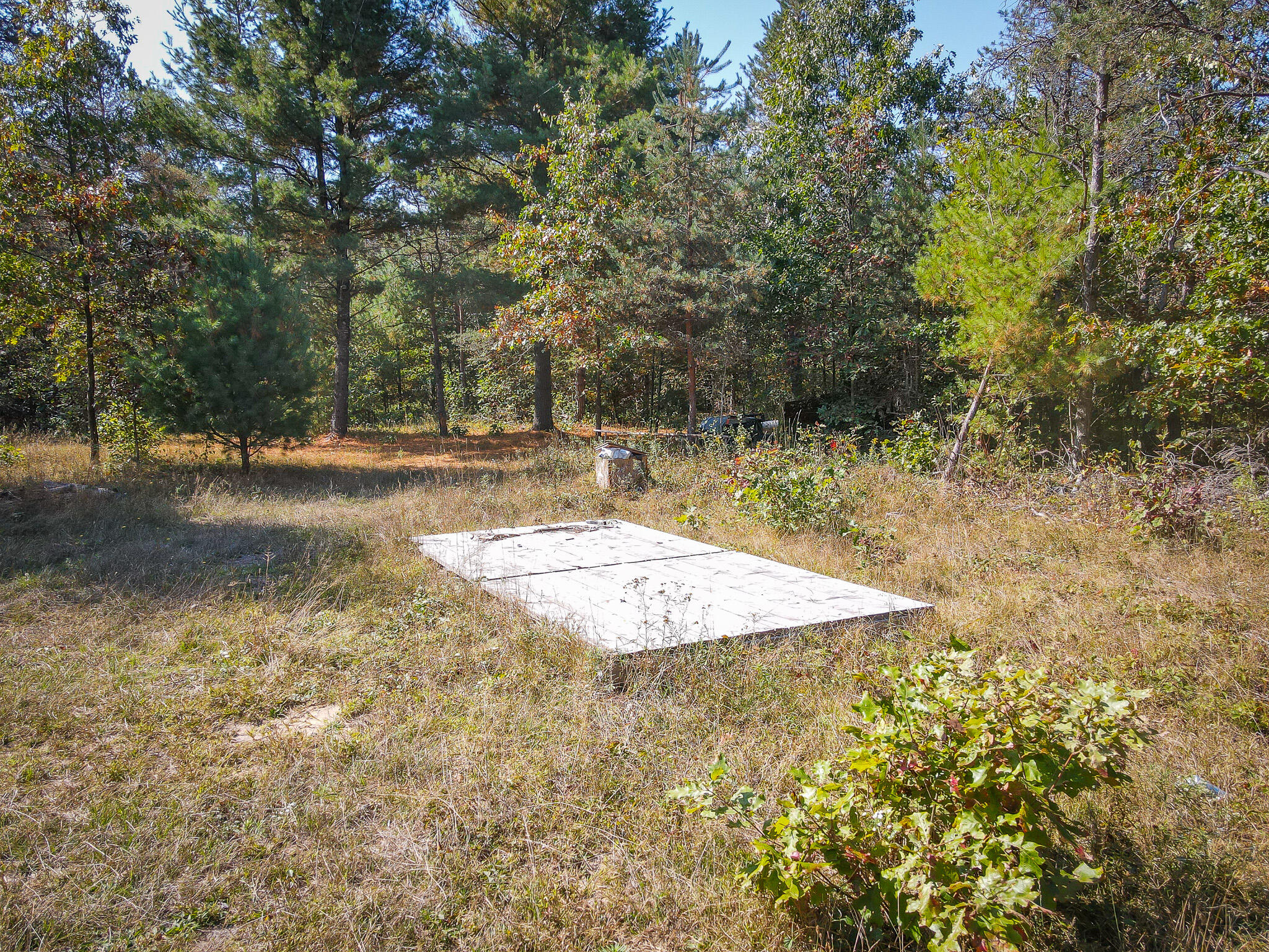 2969 East Loop Road Hesperia, MI 49421 - Photo 12 of 51 DJI_0627