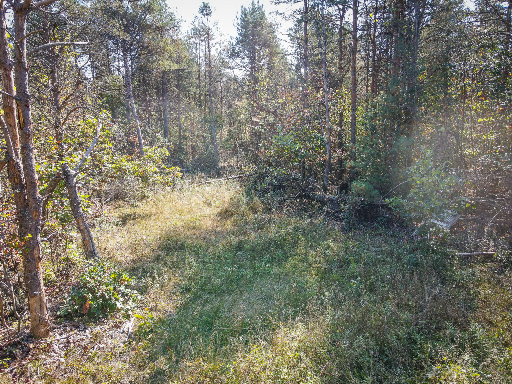 2969 East Loop Road Hesperia, MI 49421 - Photo 13 of 51 DJI_0628