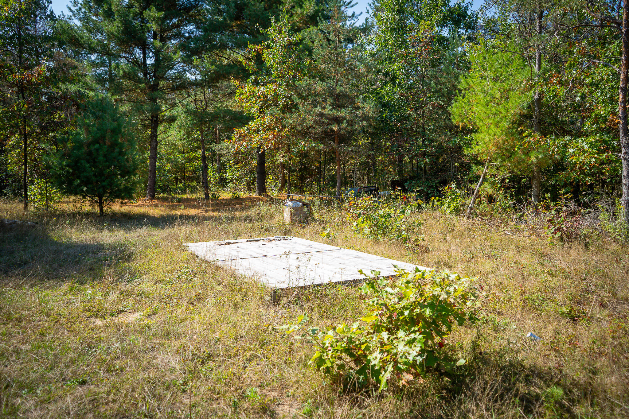 2969 East Loop Road Hesperia, MI 49421 - Photo 16 of 51 DSC07218