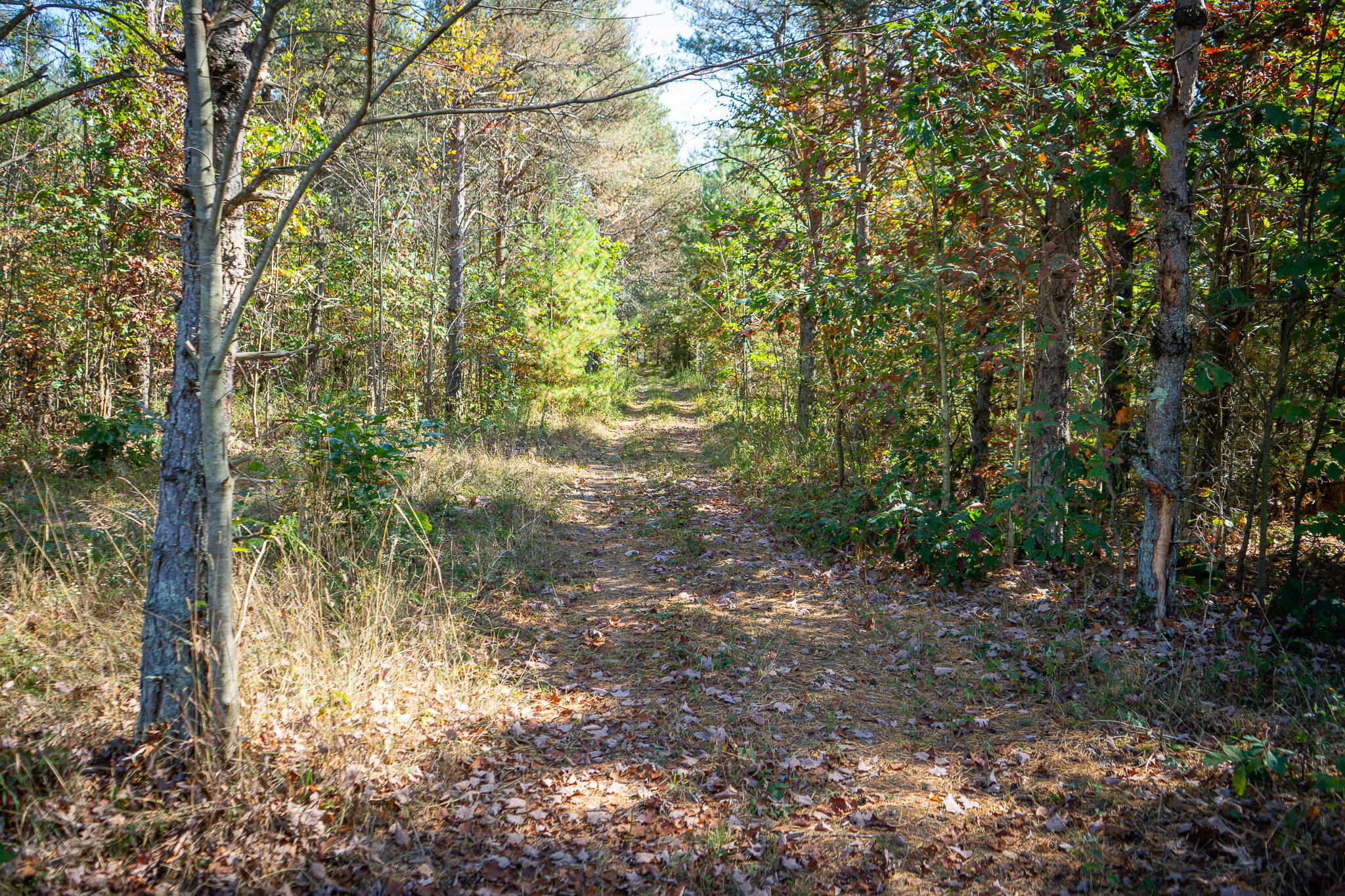 2969 East Loop Road Hesperia, MI 49421 - Photo 17 of 51 DSC07219