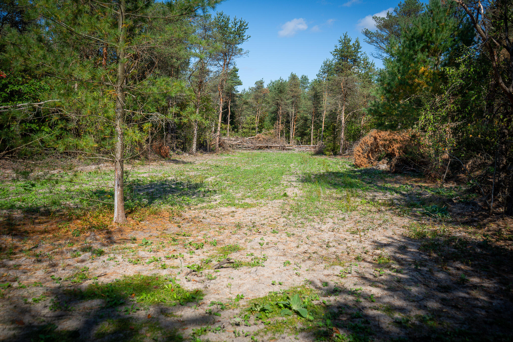 2969 East Loop Road Hesperia, MI 49421 - Photo 27 of 51 DSC07228