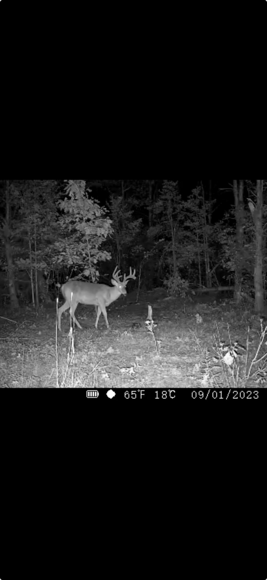 2969 East Loop Road Hesperia, MI 49421 - Photo 3 of 51 19388