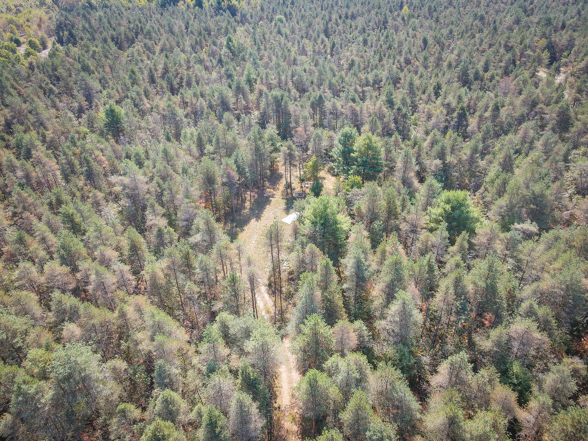 2969 East Loop Road Hesperia, MI 49421 - Photo 41 of 51 DJI_0622
