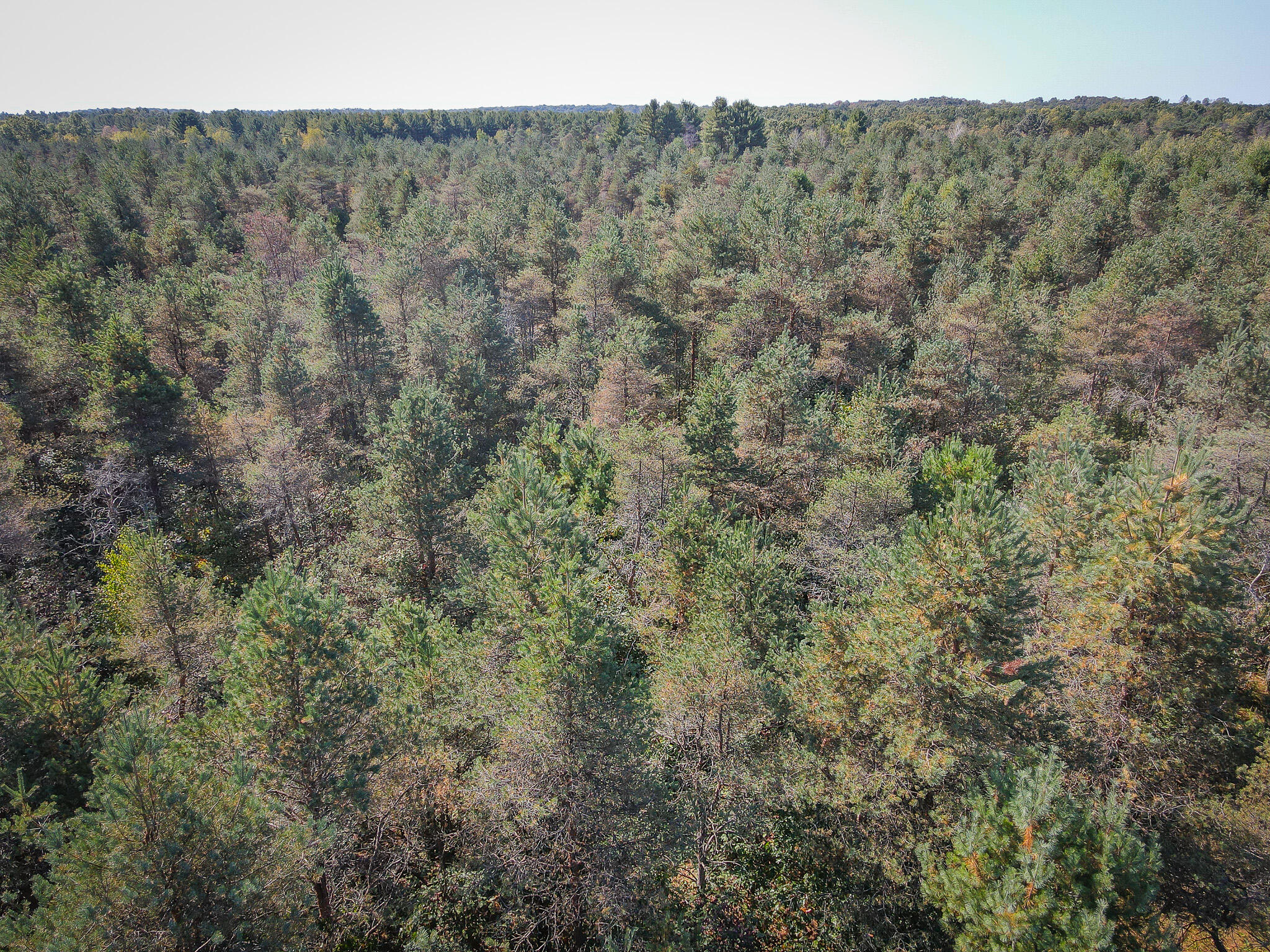 2969 East Loop Road Hesperia, MI 49421 - Photo 42 of 51 DJI_0633