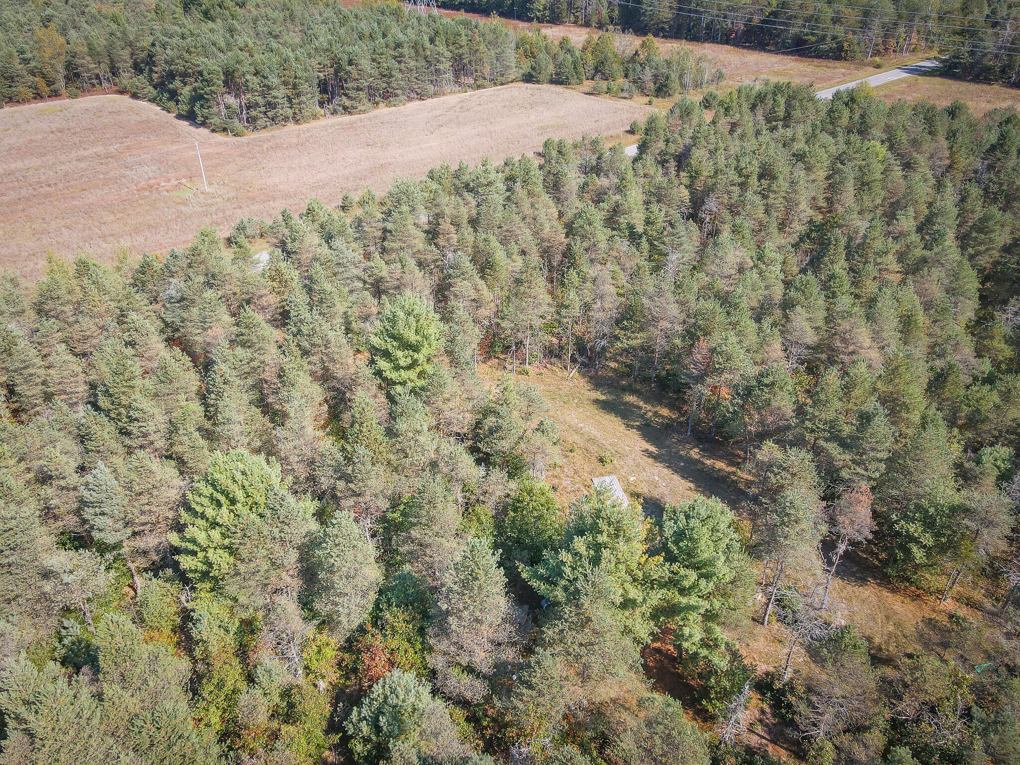 2969 East Loop Road Hesperia, MI 49421 - Photo 43 of 51 DJI_0636