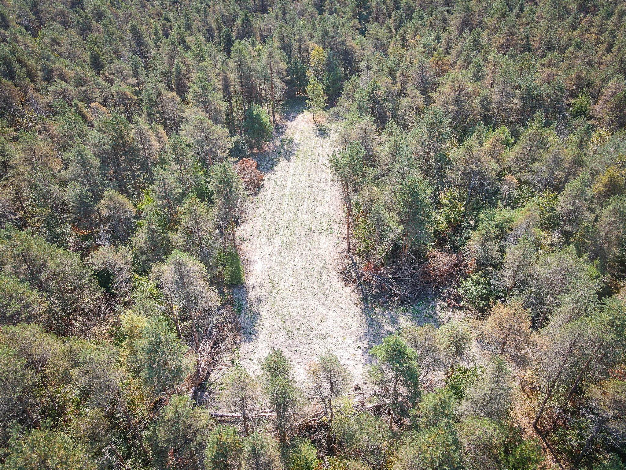 2969 East Loop Road Hesperia, MI 49421 - Photo 44 of 51 DJI_0637