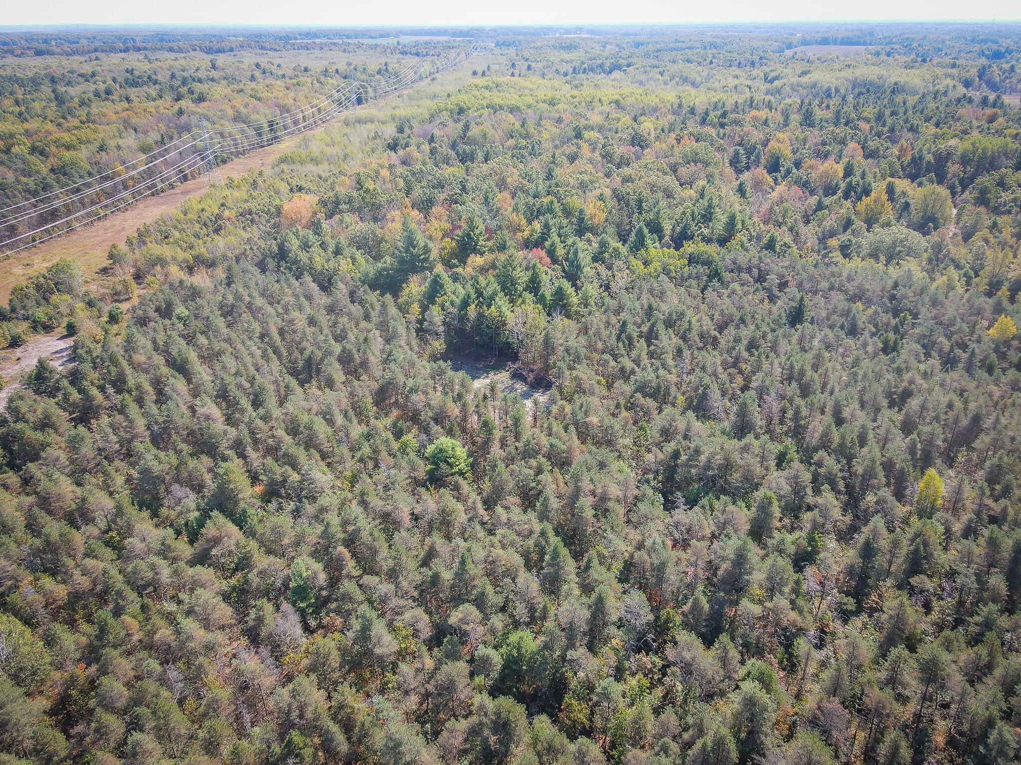 2969 East Loop Road Hesperia, MI 49421 - Photo 45 of 51 DJI_0639