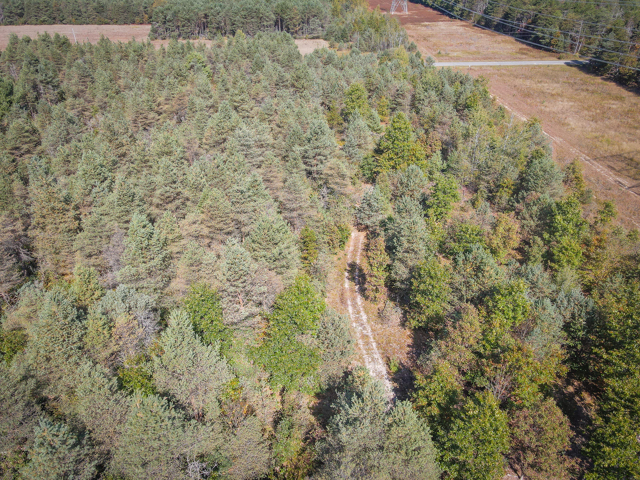 2969 East Loop Road Hesperia, MI 49421 - Photo 46 of 51 DJI_0640